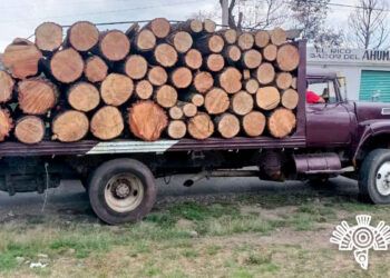 Taladores son detenidos en San Salvador El Verde con más de 50 troncos de madera