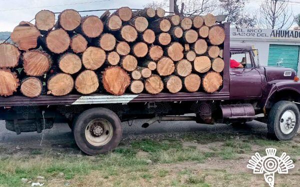 Taladores son detenidos en San Salvador El Verde con más de 50 troncos de madera