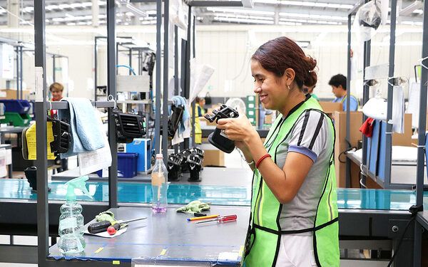 Exportación y empleo se mantienen a la alza