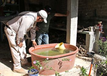 Todos, bajo amenaza por dengue