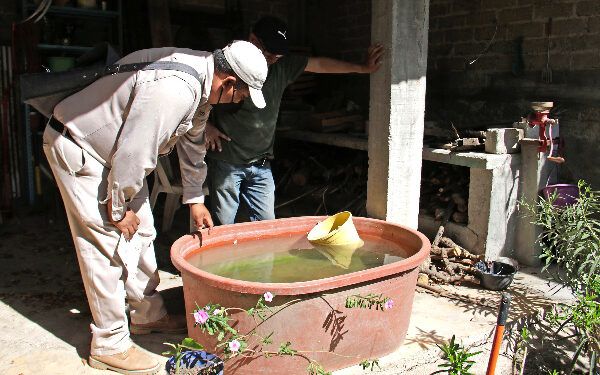 Todos, bajo amenaza por dengue