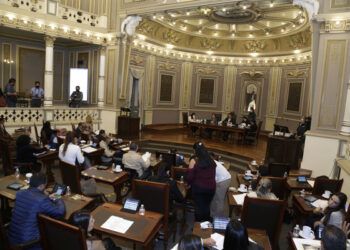 Perfil experto en búsqueda de desaparecidos, la apuesta
