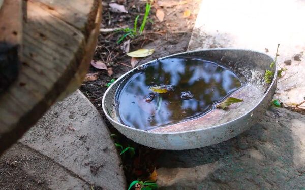Aumentan casos de dengue en un mes, de 242 a 678