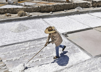 Habrá infraestructura turística en Zapotitlán de Salinas