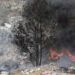 Incendios forestales y sus efectos desafían a Puebla