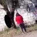 Presentan denuncia por maltrato animal en Tepanco de López