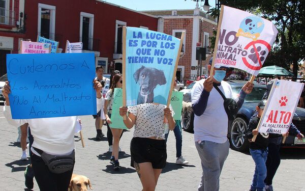 Suma Puebla 23 muertes maternas