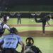 Le pone sabor a la serie Pericos, empatándola a dos