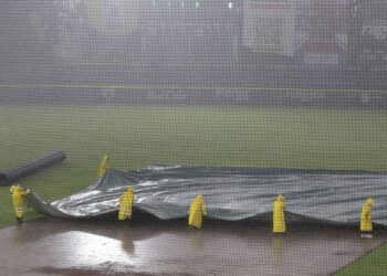 Suspenden el tercero entre Pericos y Leones