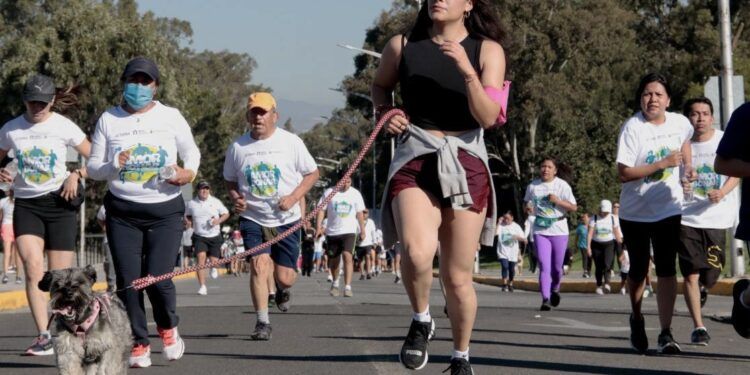 Promueven donación de órganos