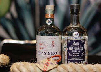 Mezcaleros cifran esperanzas en el impulso a la producción