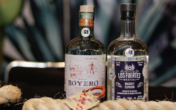 Mezcaleros cifran esperanzas en el impulso a la producción