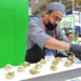 Repuntan empleos, tercer mes consecutivo