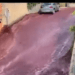 Río de vino tinto inunda las calles de Anadia, en Portugal