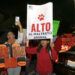 Alistan medidas severas contra maltrato animal