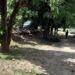 Hombres armados asesinan a 11 policías en Guerrero