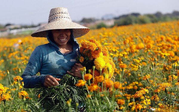 Reconocen labor de mujeres rurales