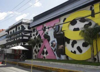 Regularán horarios y seguridad en bares