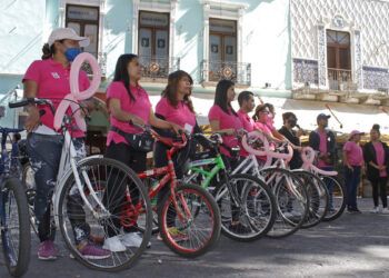 Hallan 2 mil 812 árboles afectados en la capital