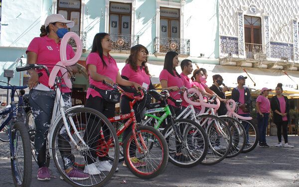 Hallan 2 mil 812 árboles afectados en la capital