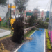 Descarta Rivera Pérez negligencia en caída de árbol