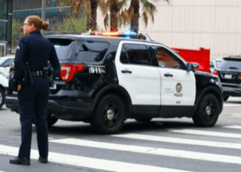 17 policías de Florida son acusados de fraude con ayudas de pandemia COVID-19