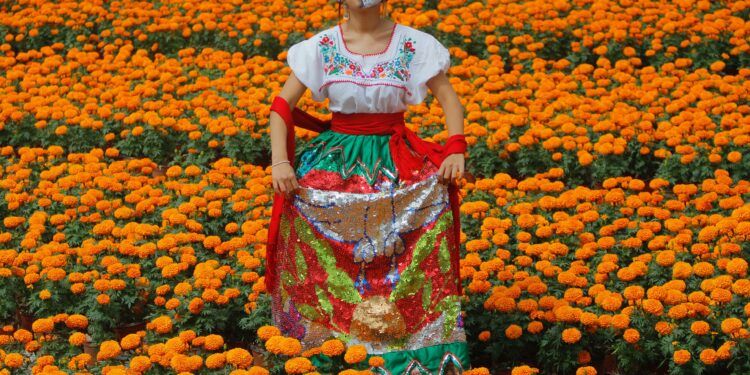 Inicia temporada de flor de cempasúchil en Atlixco; esperan derrama superior a 75 mdp