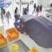 Roba comando 10 vehículos Volvo en León; recuperan nueve
