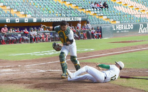 Pericos asegura con triunfo recibir la Serie del Príncipe en casa