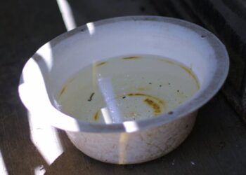 Puebla registra 2 mil 815 casos de dengue en 105 municipios