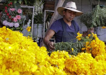 Puebla, campeón nacional de flor