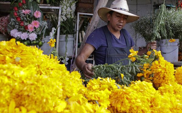 Puebla, campeón nacional de flor