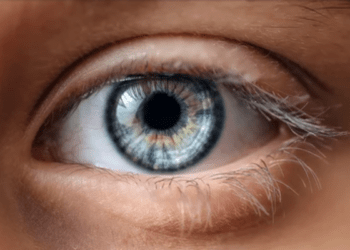 Hospital de Nueva York logra el primer trasplante de ojo entero