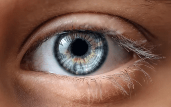 Hospital de Nueva York logra el primer trasplante de ojo entero