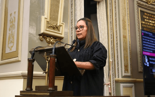Congreso de Puebla recibe iniciativa para vigilar funcionamiento de spas y hoteles para mascotas