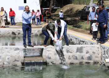 Parque Río Chiquito, estrategia ecológica