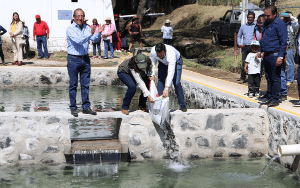 Parque Río Chiquito, estrategia ecológica