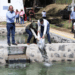 Parque Río Chiquito, estrategia ecológica
