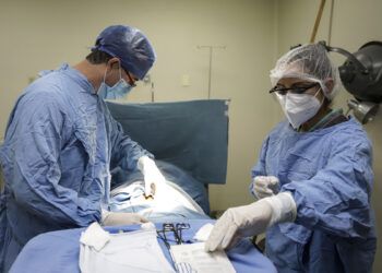Etiqueta gobierno 4 mil mdp para personal de salud