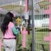 Cada semana, un feminicidio, denuncian activistas