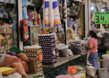 Para subsistir, cuatro salarios mínimos: Ibero