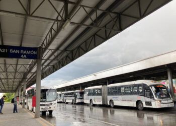 Incrementan usuarios de la RUTA