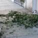Presumen suicidio de alumna UPAEP