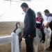 Reciben 9 mil poblanos atención con equinoterapia