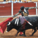 Toros, toros, toros