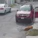 Chofer de una camioneta atropella intencionalmente a un perro en Galaxia Amalucan