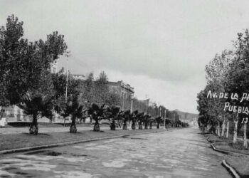 IN MEMORIAM / RECORRIDO CON ESTILO