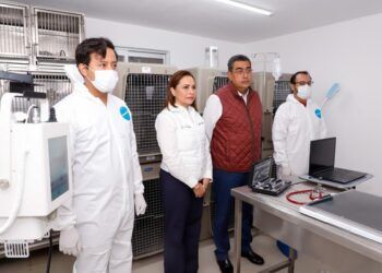 Puebla, primer estado con veterinaria forense