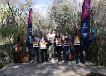 Anuncian campaña de recolección de árboles