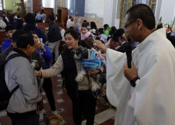 Llegaron mascotas por bendición al templo de San Antonio Abad